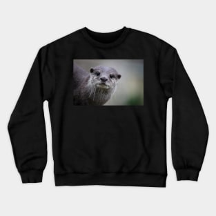 Here`s Looking At You Crewneck Sweatshirt